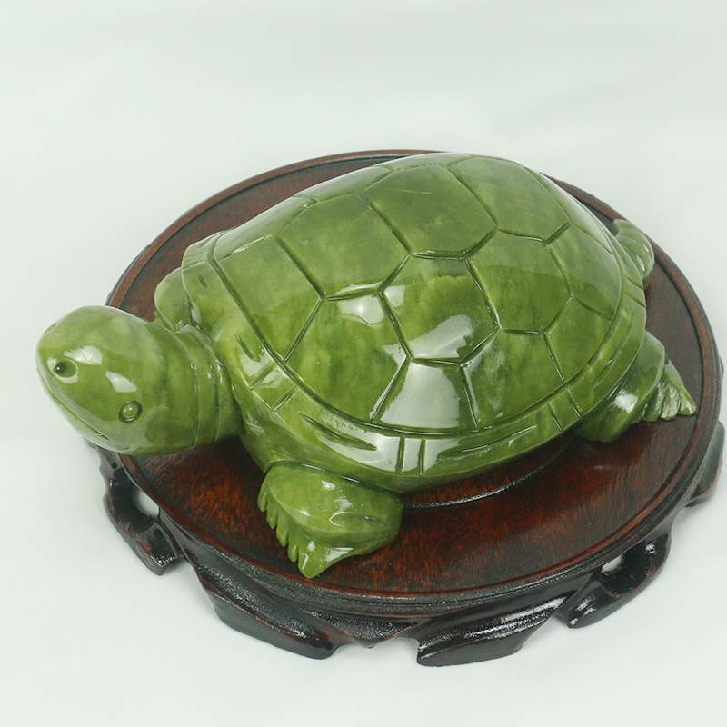Giok Alami/Patung Penyu/Dekora - Marine Aquarium All In One ulasan dan harga