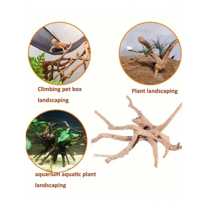 Kayu Apung Alami untuk Dekoras - Marine Aquarium All In One ulasan dan harga