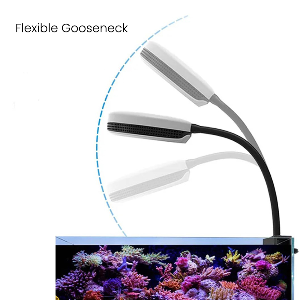 Lampu LED Akuarium Spectra SP2 - Marine Aquarium Lamp ulasan dan harga