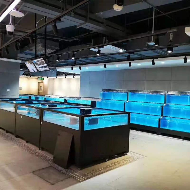 Akuarium Kaca Persegi untuk Ik - Marine Aquarium All In One ulasan dan harga