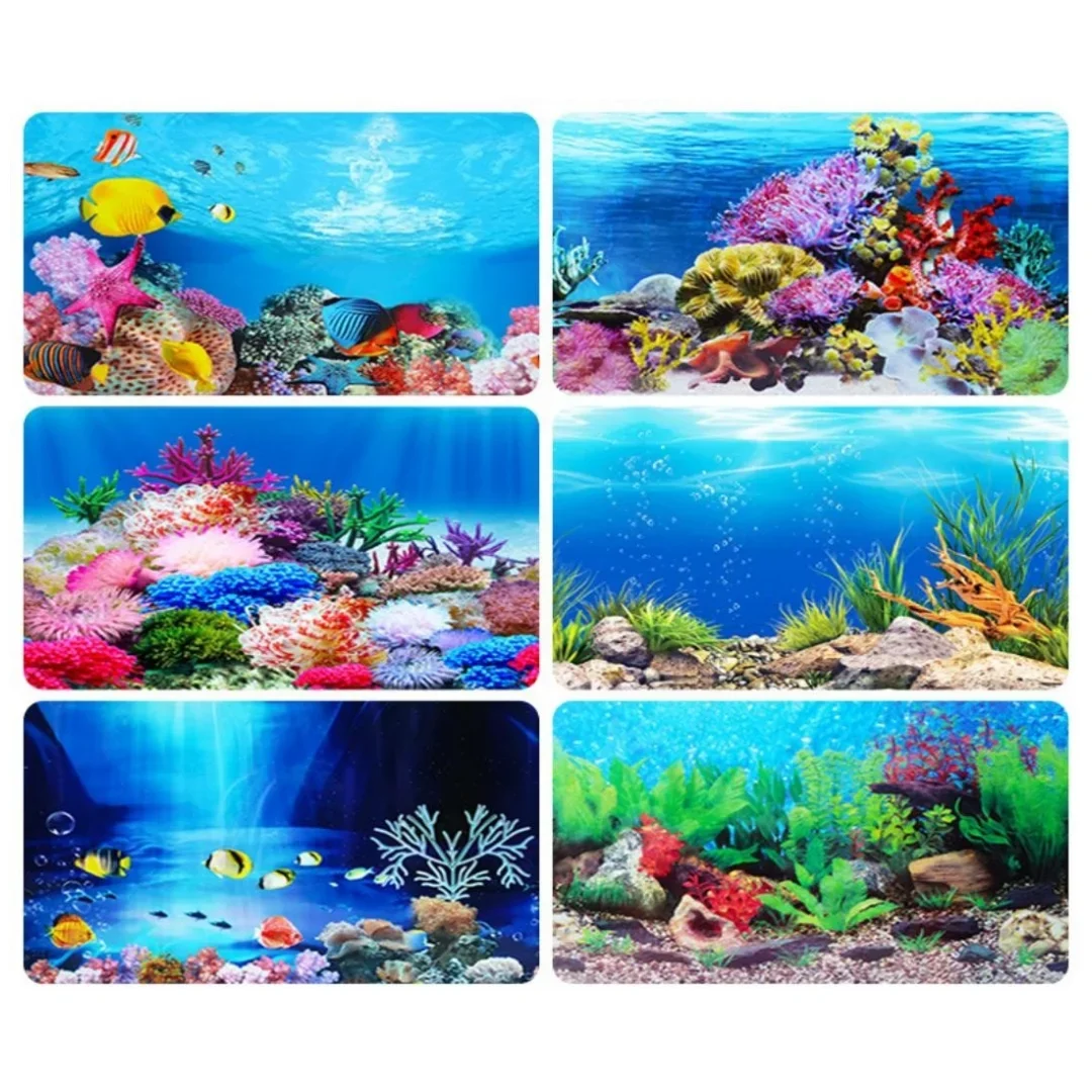 Latar belakang akuarium 3D sti - Marine Aquarium All In One ulasan dan harga