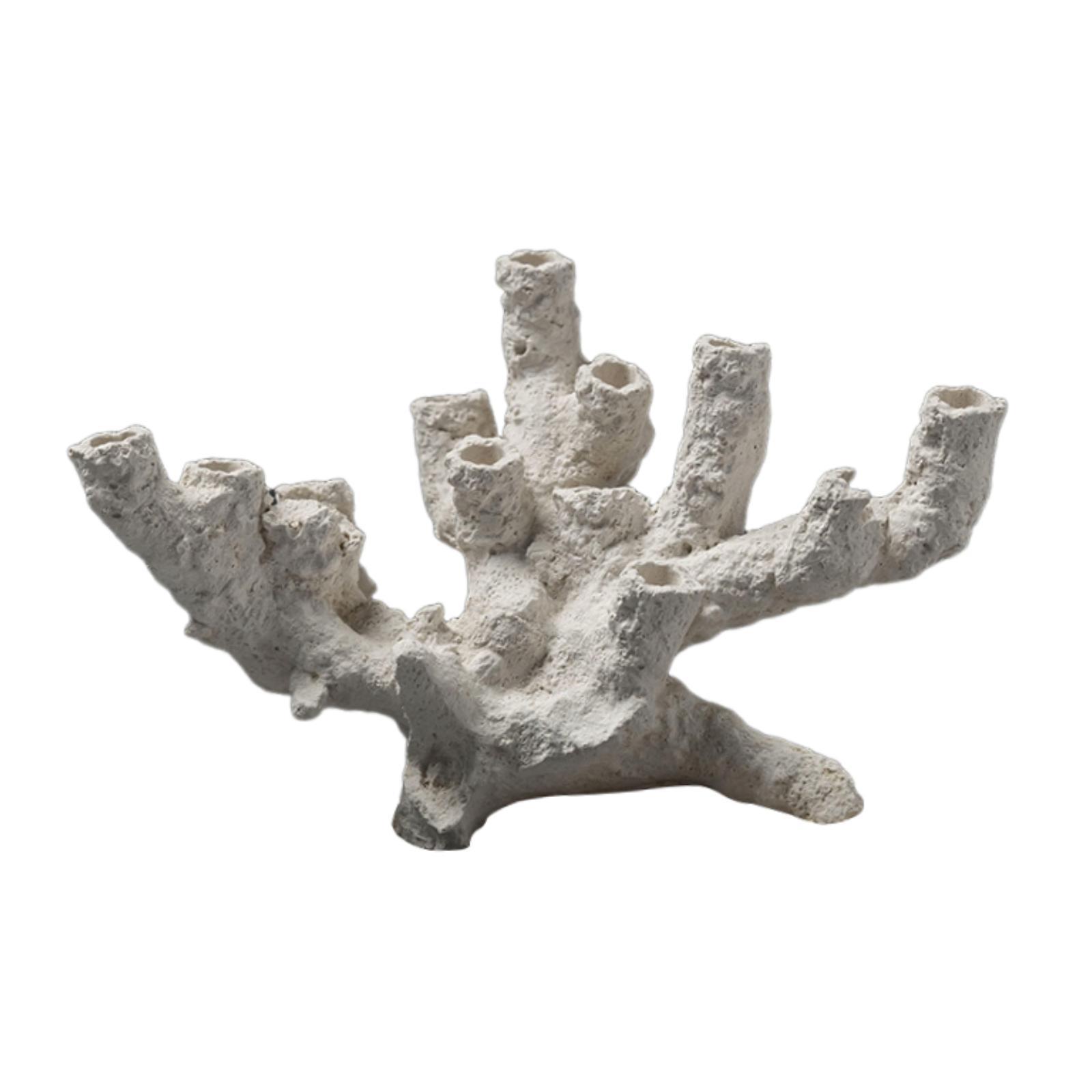 Ornamen Tempat Persembunyian I - Marine Aquarium Aquascape ulasan dan harga