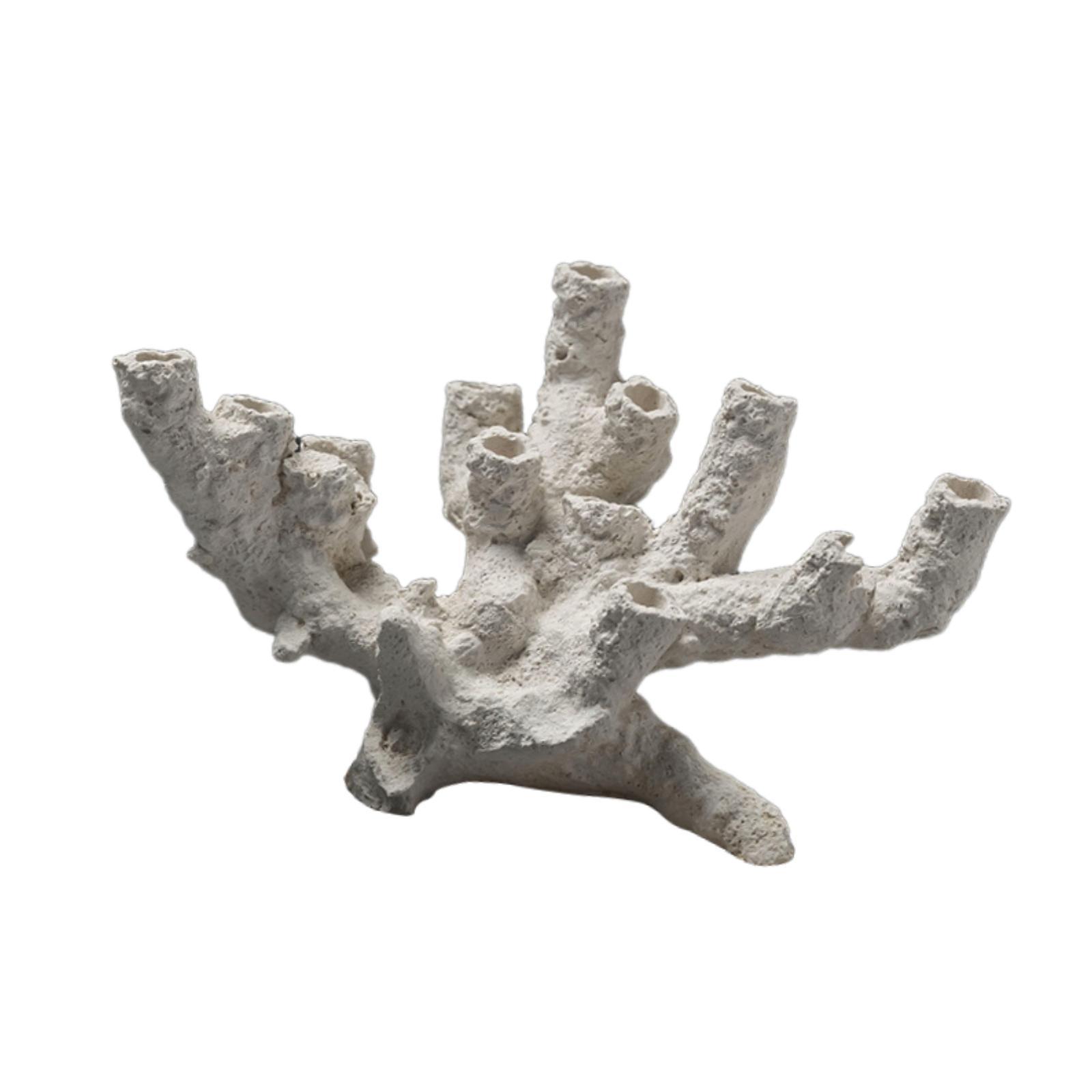 Ornamen Tempat Persembunyian I - Marine Aquarium Aquascape ulasan dan harga