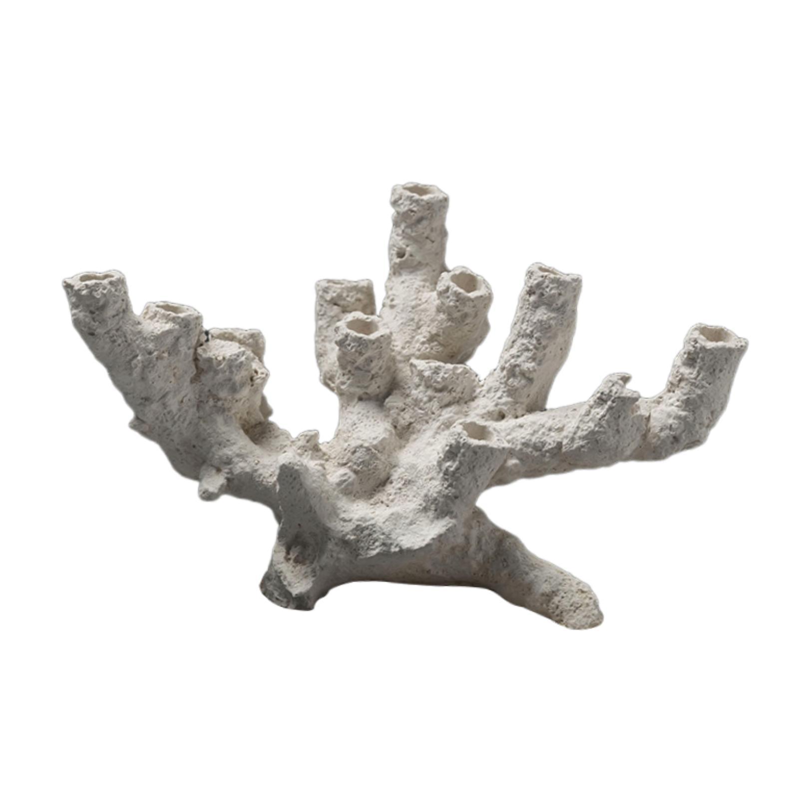 Ornamen Tempat Persembunyian I - Marine Aquarium Aquascape ulasan dan harga