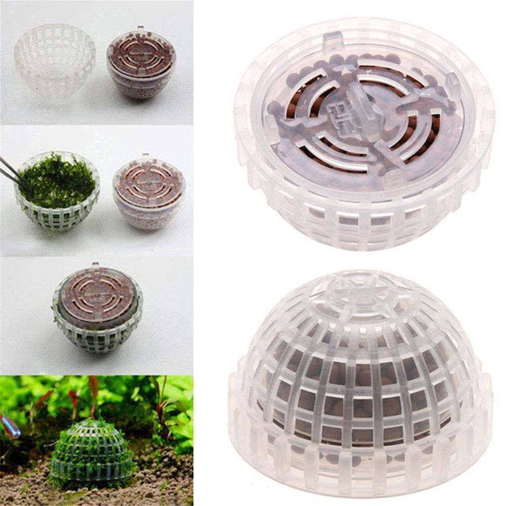 Bola Lumut Marimo Putih Seteng - Marine Aquarium All In One ulasan dan harga