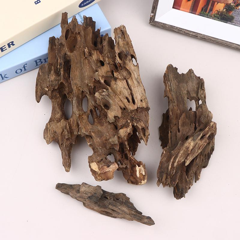 △   Dekorasi Akuarium Kayu Uda - Marine Aquarium All In One ulasan dan harga