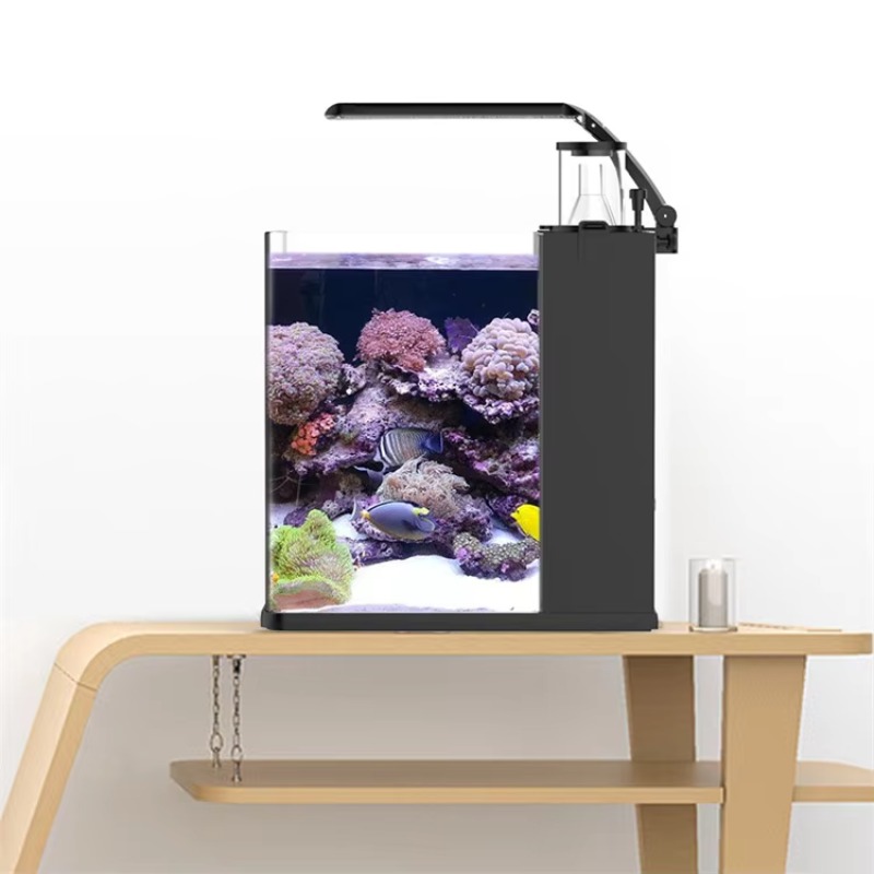 Akuarium Ikan Laut Air Asin Me - Marine Aquarium All In One ulasan dan harga