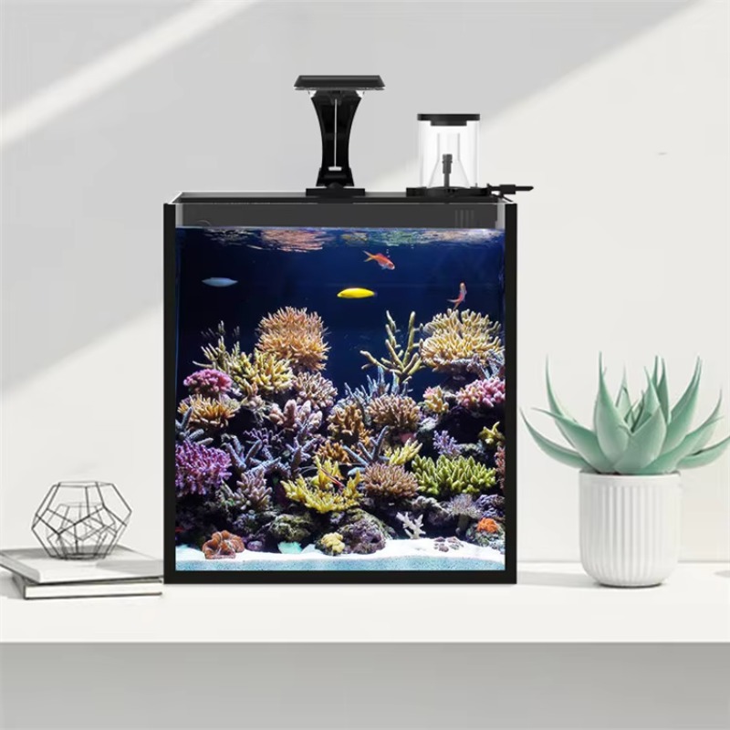 Akuarium Ikan Laut Air Asin Me - Marine Aquarium All In One ulasan dan harga